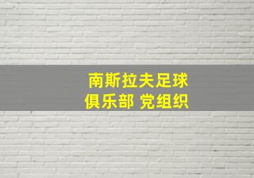 南斯拉夫足球俱乐部 党组织